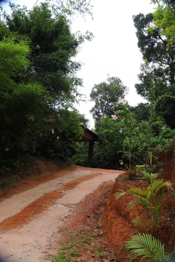 Coorg Nature Breeze Home Stay 马迪凯里 外观 照片