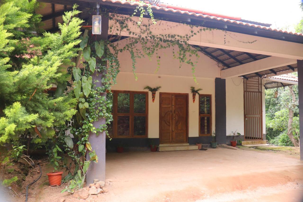 Coorg Nature Breeze Home Stay 马迪凯里 外观 照片