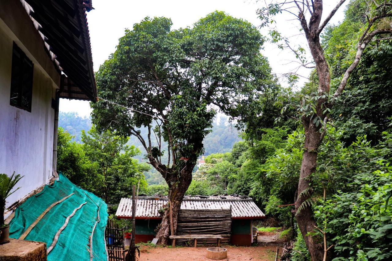 Coorg Nature Breeze Home Stay 马迪凯里 外观 照片