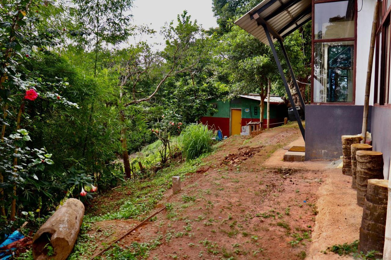Coorg Nature Breeze Home Stay 马迪凯里 外观 照片