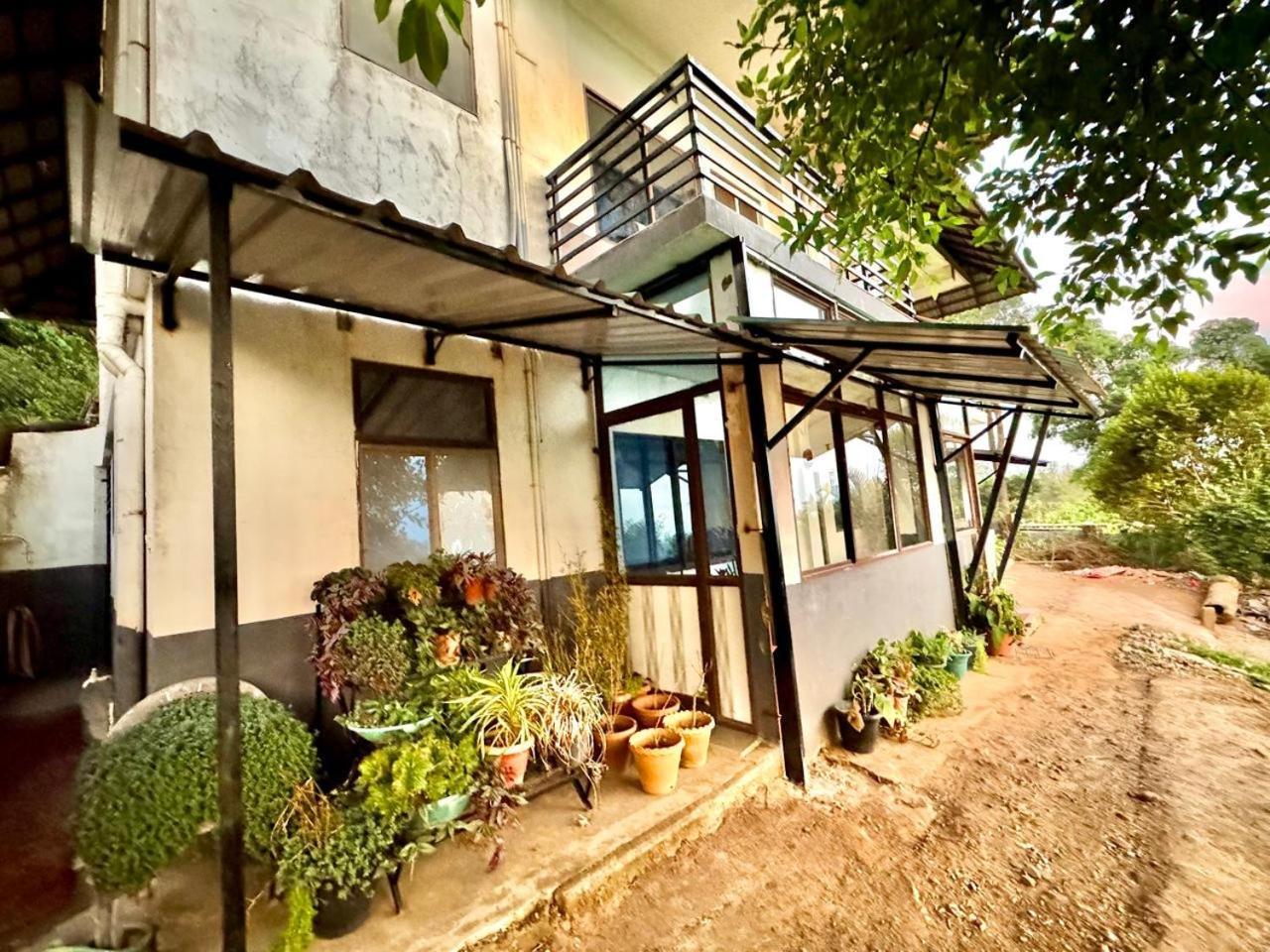 Coorg Nature Breeze Home Stay 马迪凯里 外观 照片